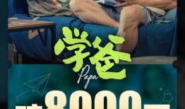 东北打工爆料视频完整版,揭秘真实生活与职场困境